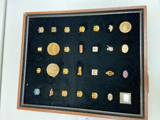 Collection of Insurance Pins
