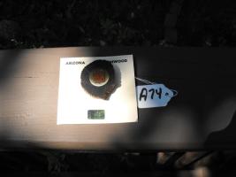 Pin. Arizona Ironwood with FMCA logo on it.