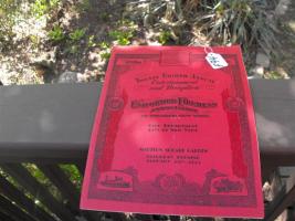 Uniformed Firemens Association, Fire Department Ci