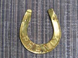 Phenix Insurance Company, Brooklyn, New York. Hor