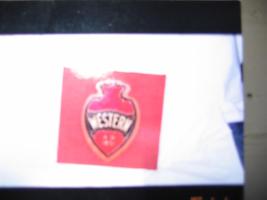 Western Reproduction Fire Mark of Bulau 1150. Tin