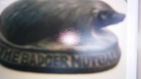 Paper Weight in the Shape of a Badger. On one side