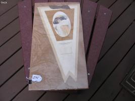 United American Ins. 1914 Calendar